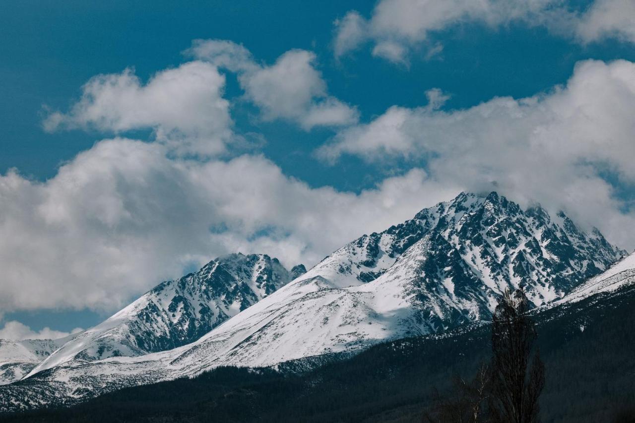 Vysoké Tatry Villa Greystone מראה חיצוני תמונה